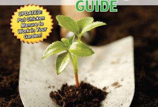 Best Compost for the Garden